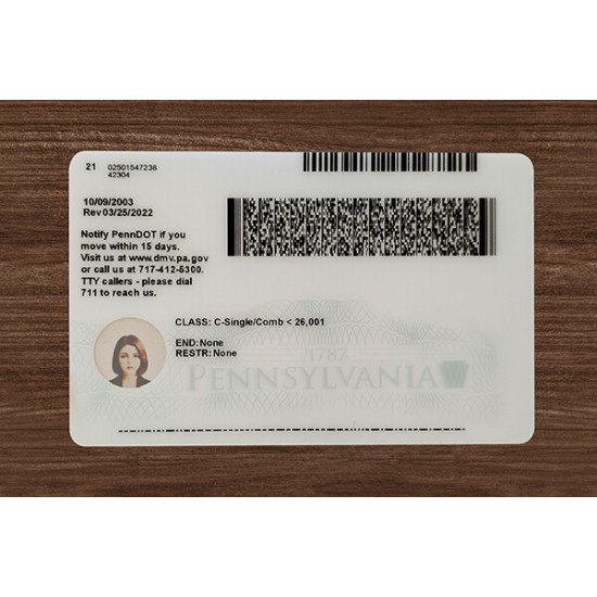 Pennsylvania (PA) Fake ID (2025 Version)